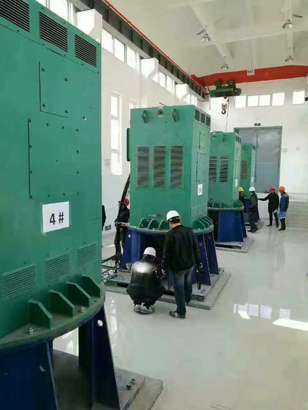 柘城某污水处理厂使用我厂的立式高压电机安装现场